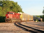 CP 8951